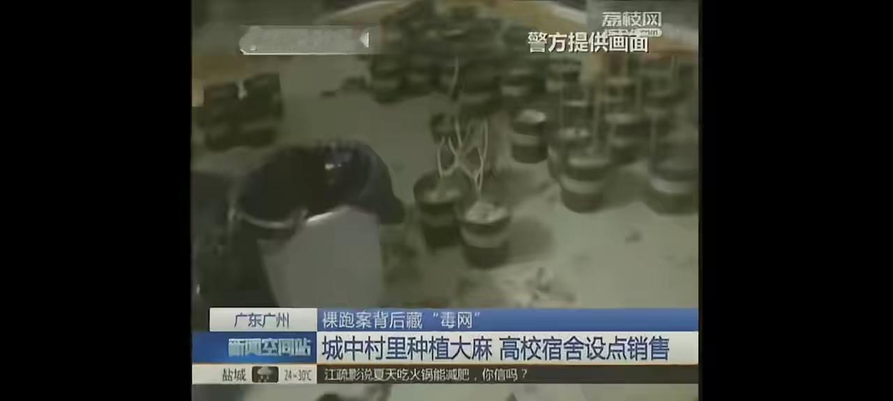 拿着留学补贴的留学生怎么成为贩毒分子？目前广州警方抓到19名留学