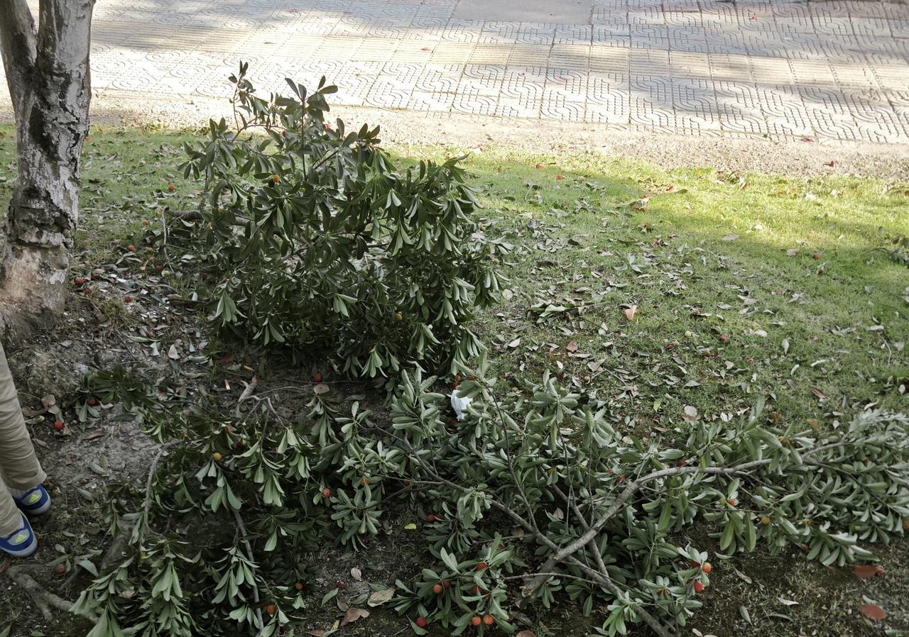 补习班真的有用吗！许多家长误以为，只要把孩子送进补习班，就是在为学习助力。殊