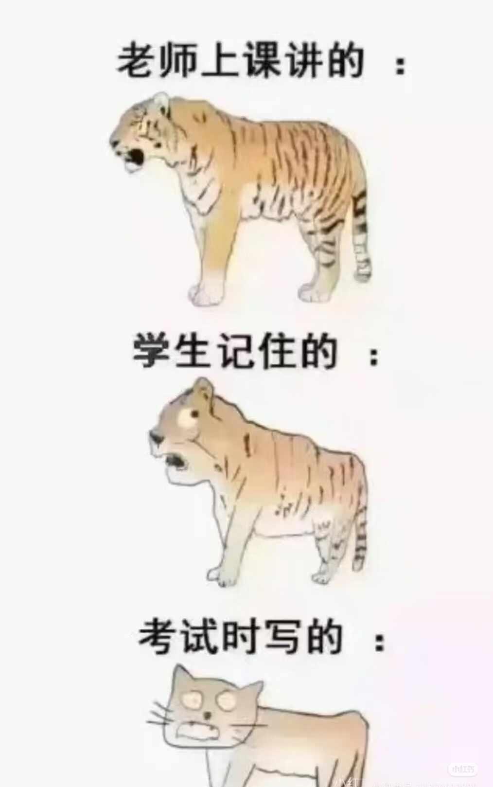 梗图爆料此图有梗梗图人间真实图片仅供娱乐定格有梗瞬间有点离谱但又合理