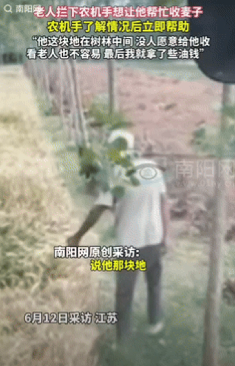 6月13日，江苏老人在路边拦下农机手，恳求对方帮忙收下麦子，全村就剩他一户没收完