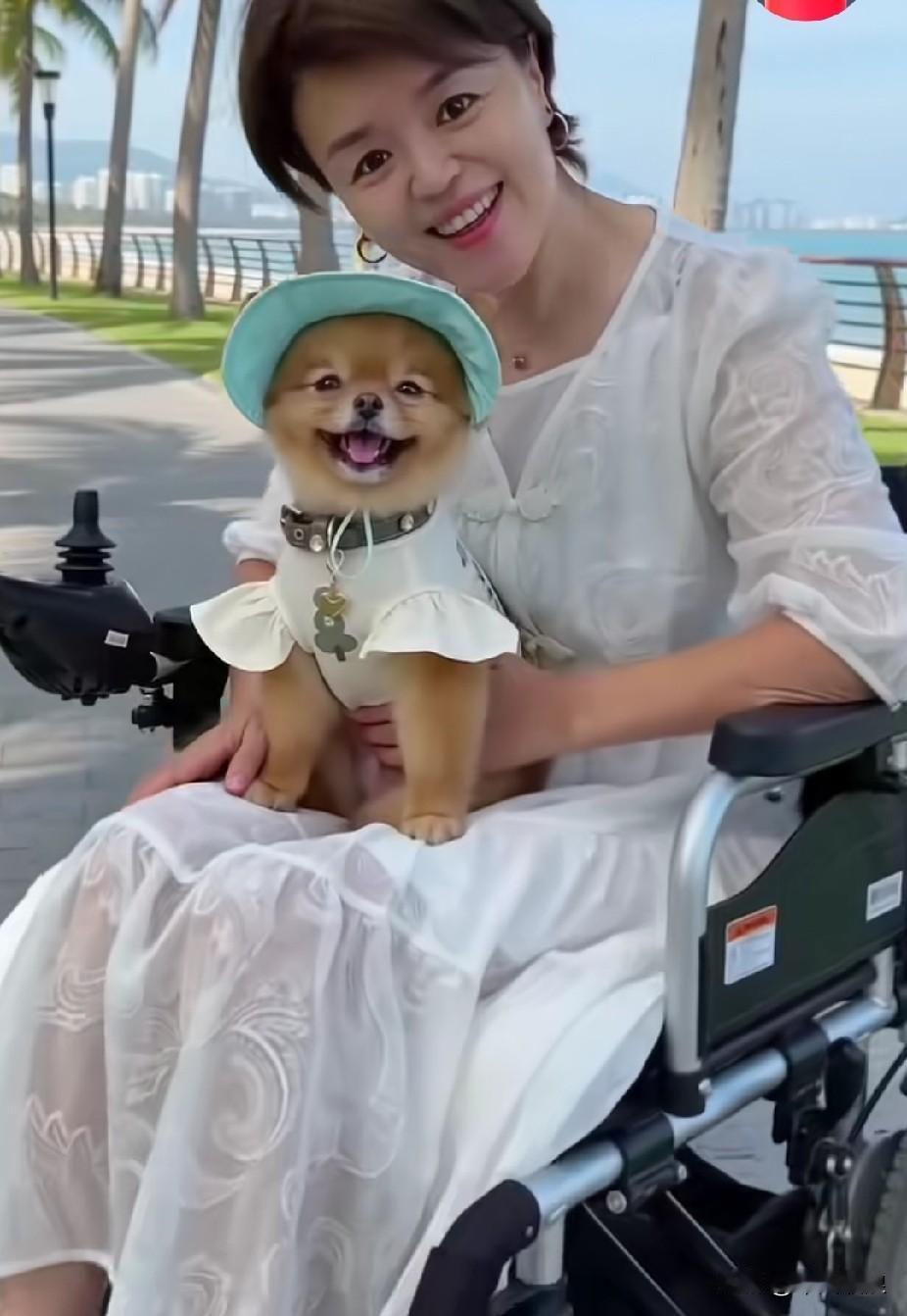 残疾女主人养的宠物骑着轮椅带它出去留达小狗笑得哪么阳光灿烂。