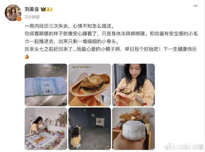 刘美含的宠物蜥蜴去世发博称宠物蜥蜴小橘子去世一周三次失去太痛心💔小橘子闭着