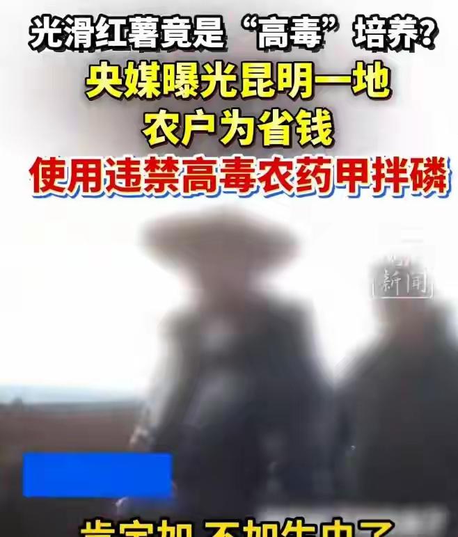 继毒白菜事件后，云南建水又爆出毒红薯事件，老百姓活着可真不容易！大家一直认为根