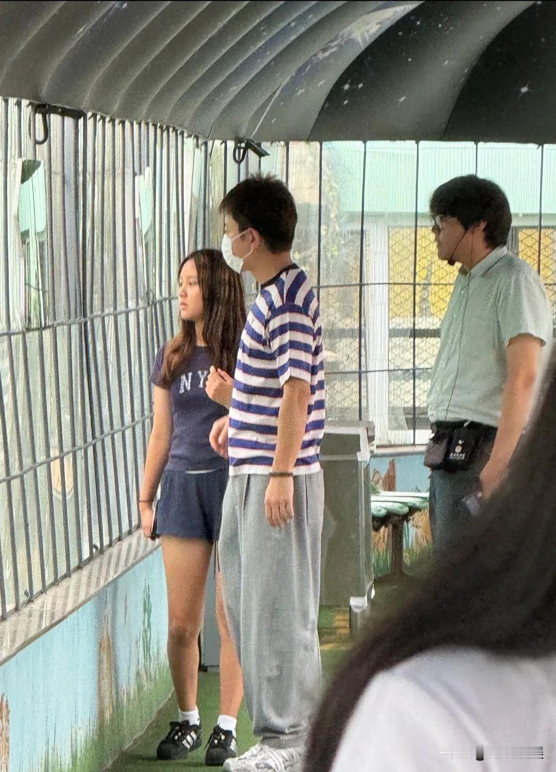 贾乃亮带着女儿甜馨，回到老家哈尔滨东北虎林园游玩，甜馨越来越出挑了，从小看着长大
