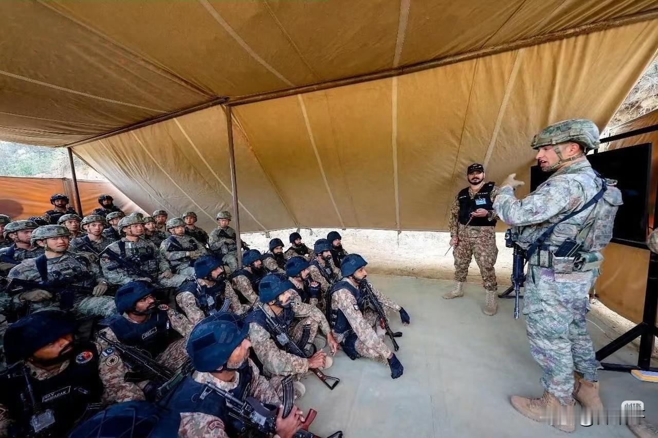 为了提升中巴两国特种部队的联合带战斗力，熊猫是拿出真东西教，巴巴羊这回算是大开眼