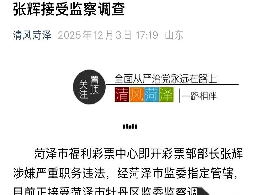 山东菏泽那个张辉，前脚还在台上指点江山，后脚就直接被“抬”上热搜了。这速度，比