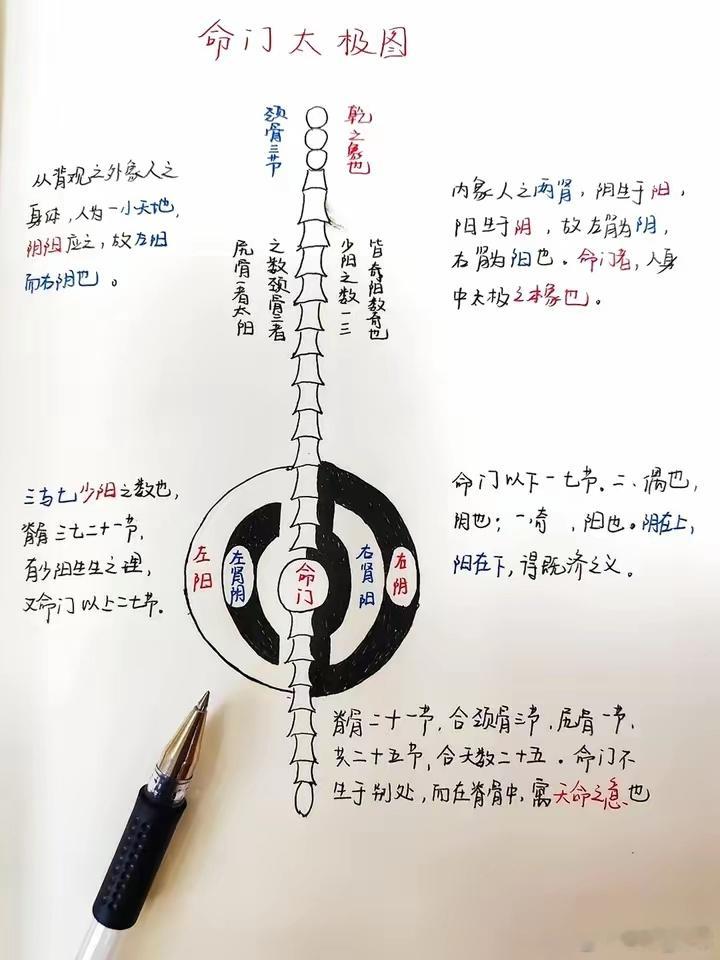 命门太极图所蕴含的阴阳平衡、天人合一理念，真是博大精深。在中医文化里，阴阳鱼（太