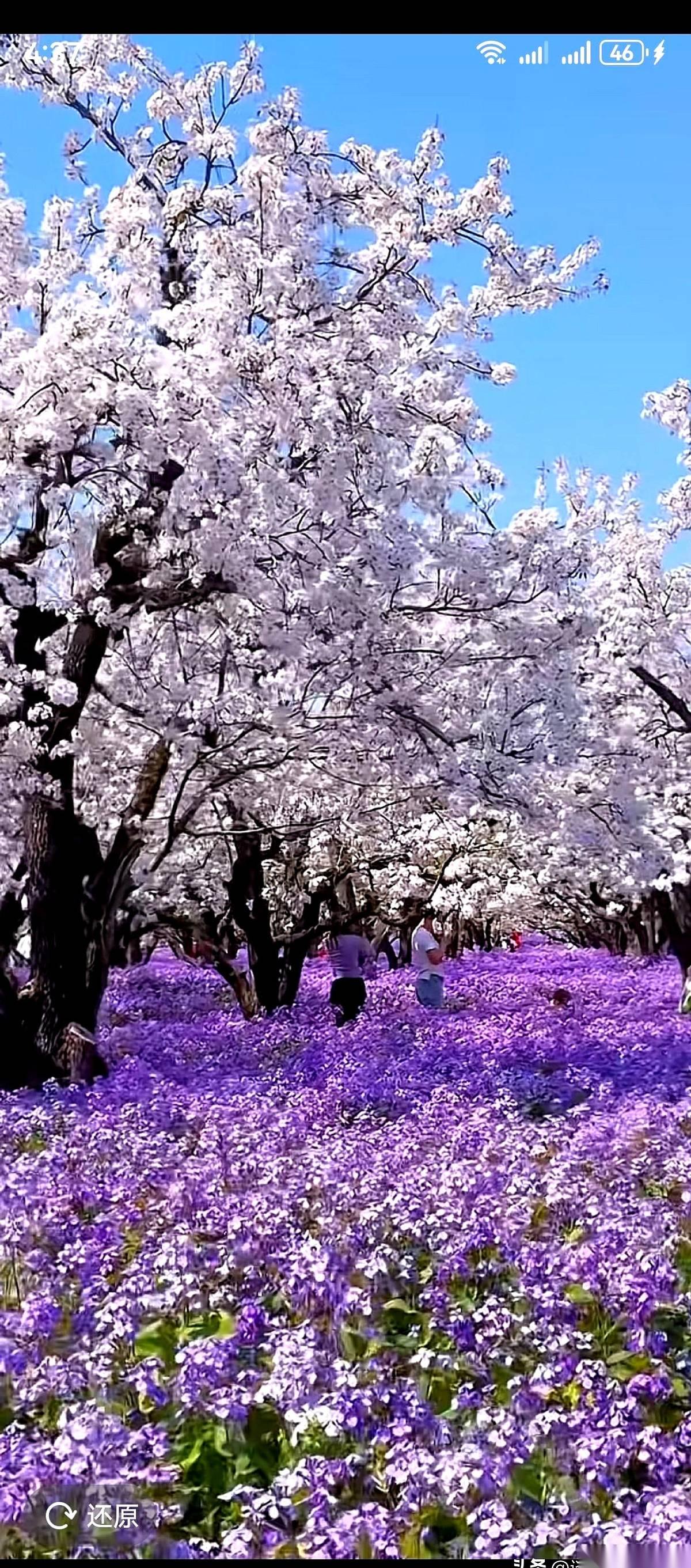 一个当了半辈子老师的朋友，副高职称退下来，本该享清福的年纪，却铁了心要离婚。他