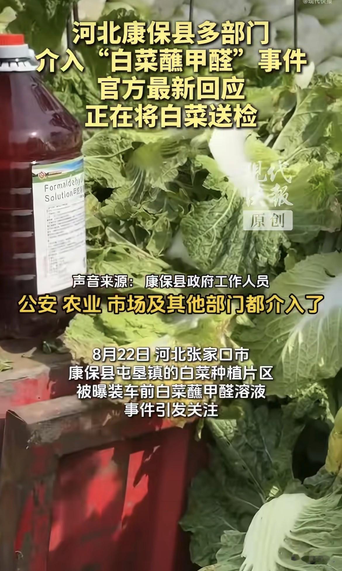张家口康保县屯垦镇，装白菜的挂车旁边摆着“甲醛溶液”的瓶子，工人把白菜往那液体里