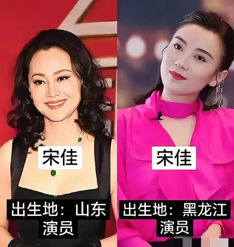 9组同名明星，更出名的总是那个颜值较高的，不论是夏雨、宋佳还是陈红、王劲松也不论