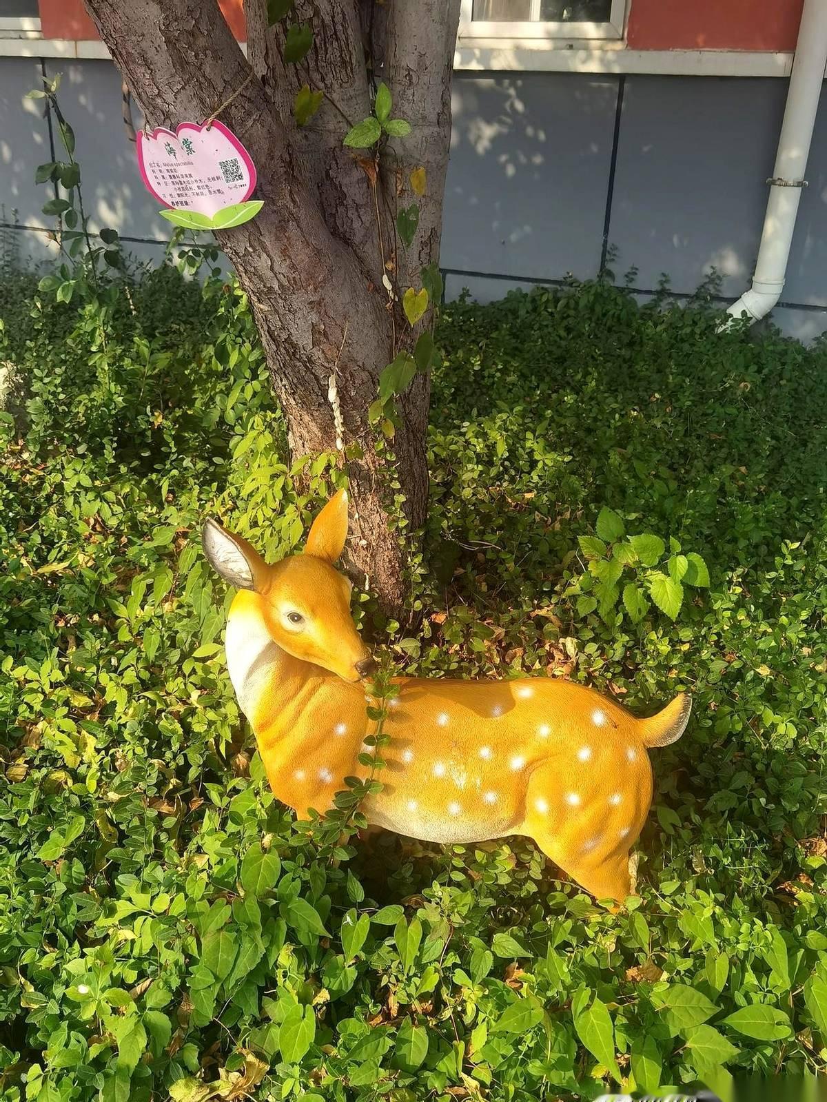 办公室同事，刚才云淡风轻地聊了句。说她同学，一个油田的财务处长，今年光“兑现奖