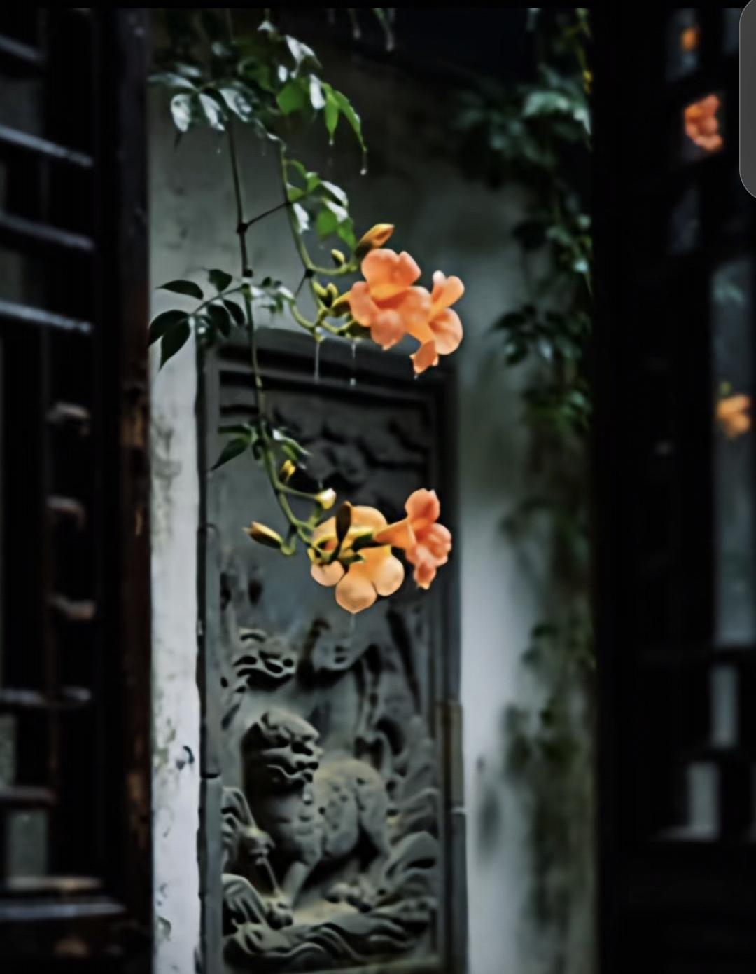在婚姻中你可知道最讽刺的是什么我要告诉天下的女人们一个什么都不付出的女人