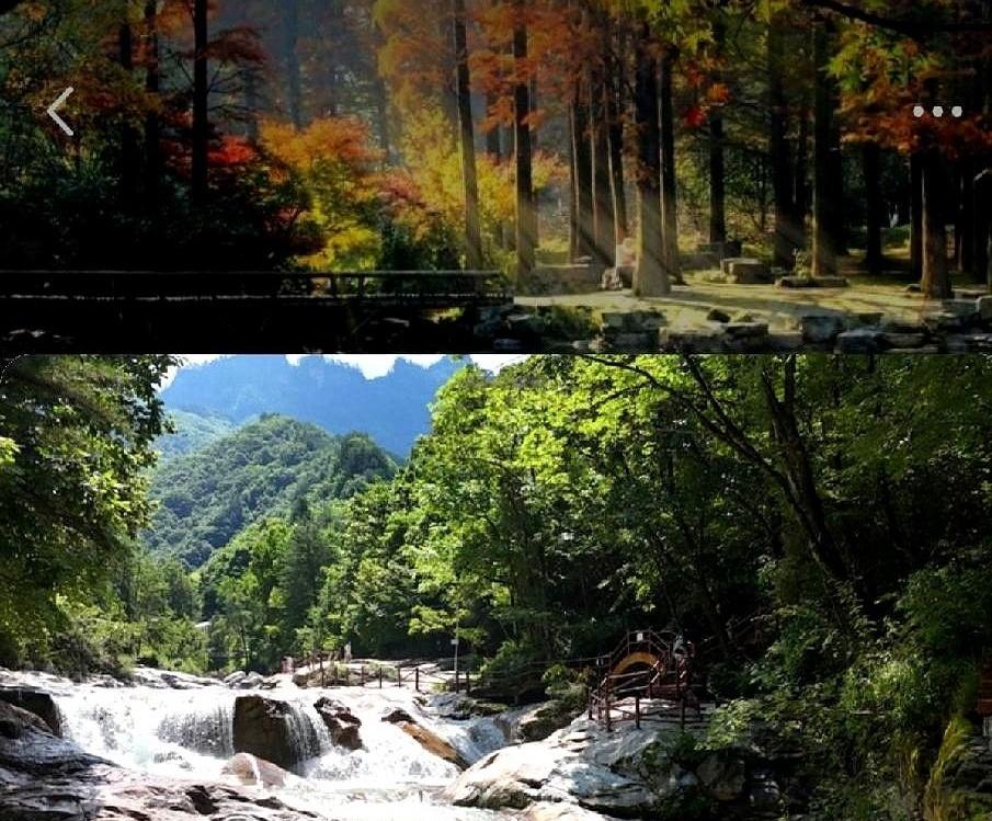 谁能想到，看个红叶能看出“人在囧途”的既视感？10月1号当天，7000多人一头扎
