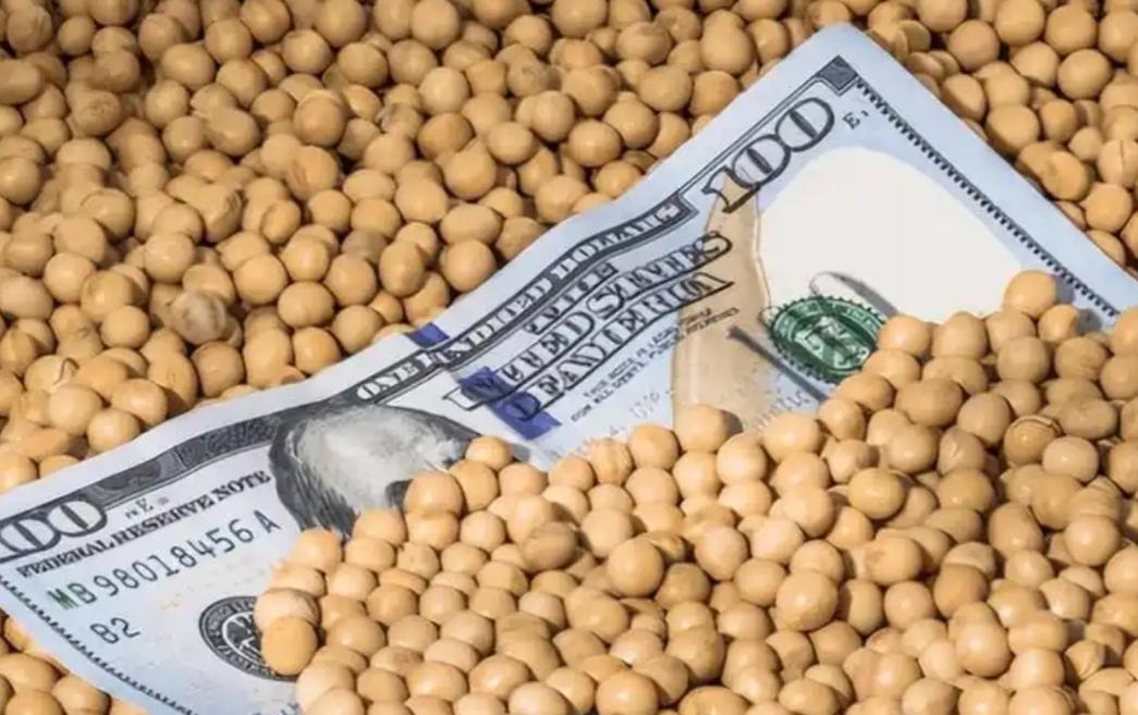 解释不清了！当一船满载6.9万吨巴西大豆的货轮靠泊江苏泰州码头时，谁也没想到，大