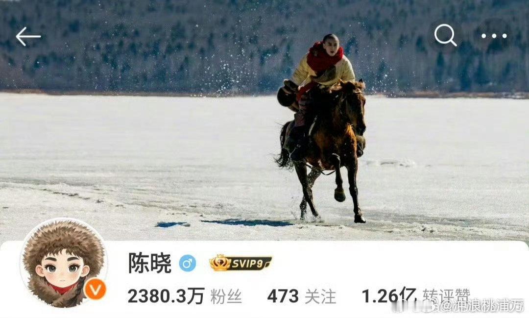 . 头像和背景的搭配太绝了，低调中透着高级感，完全符合陈晓的气质！一直专注作品、