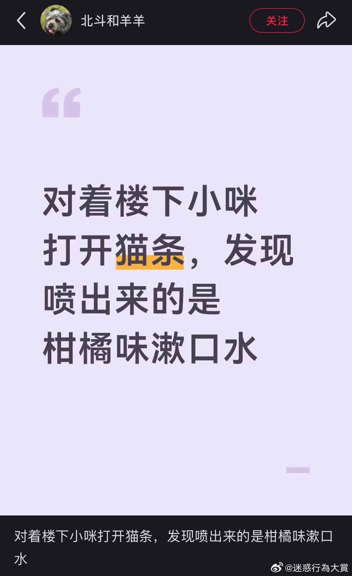 猫：找茬是吧？