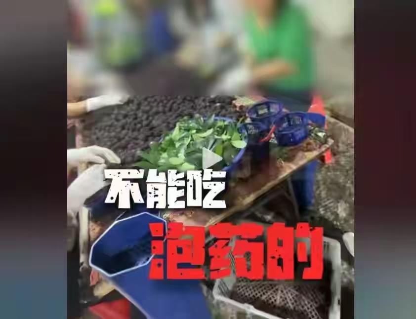 福建漳州“药水杨梅”事件带来3个严重后果：1、杨梅卖不出去了。很多地方开始下