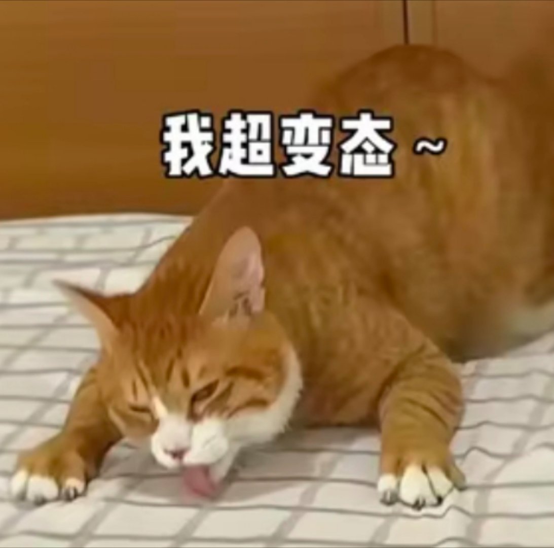 #我一个变态的都觉得变态#哈哈哈看到这句话，第一反应就是这只猫，不知道微博的网友有没有刷到过[笑着哭
