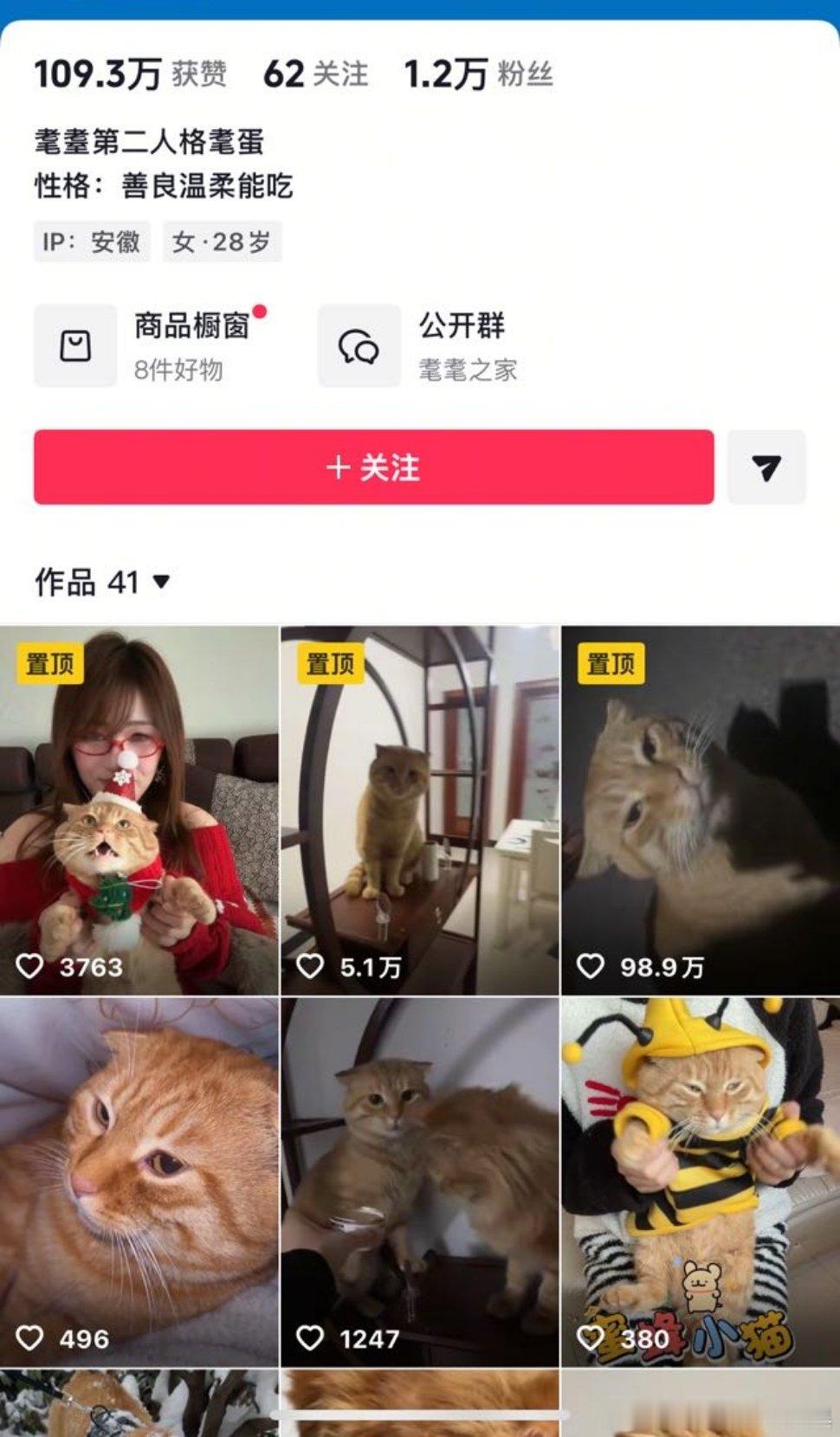 这个人养猫还玩耄耋梗看得我心梗了，评论区全都是n猫/男，直播间也是n猫/男坤美就
