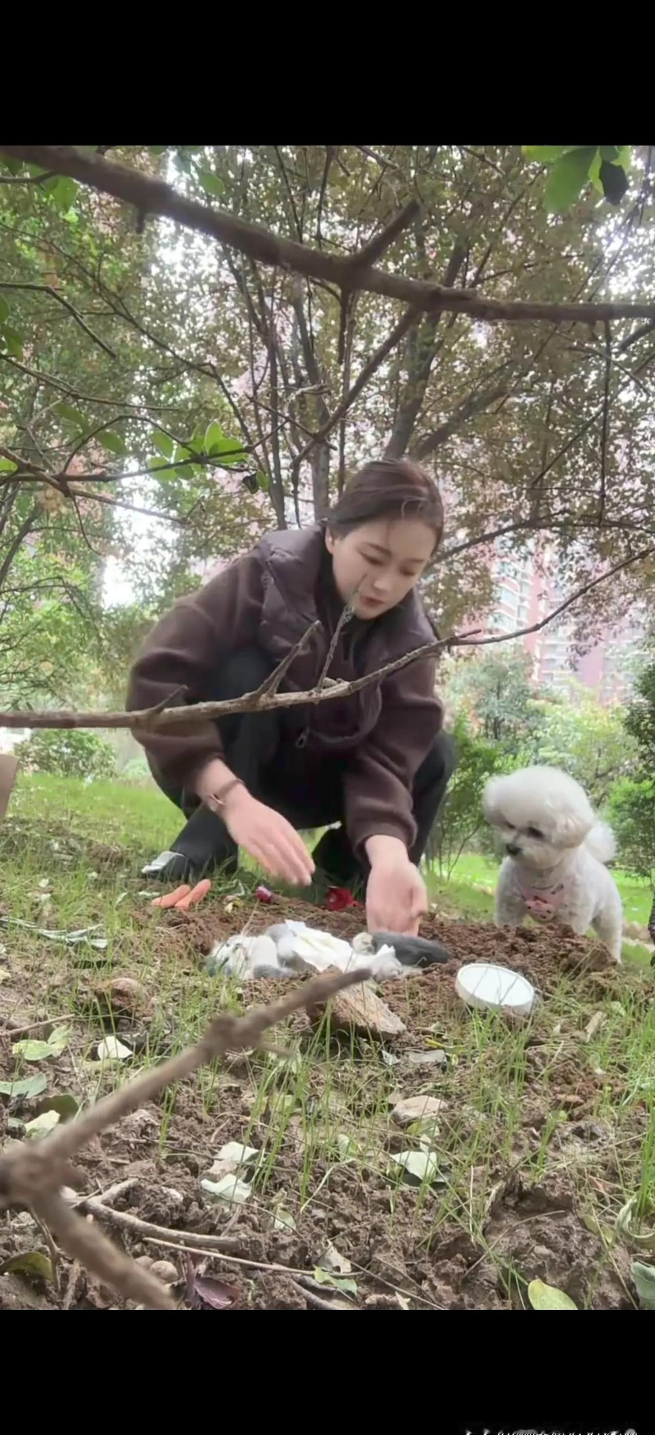 冬天的哈尔滨，气温低到-30℃，一只猫在寒风中摸爬滚打，最怕的就是没有一个暖和的