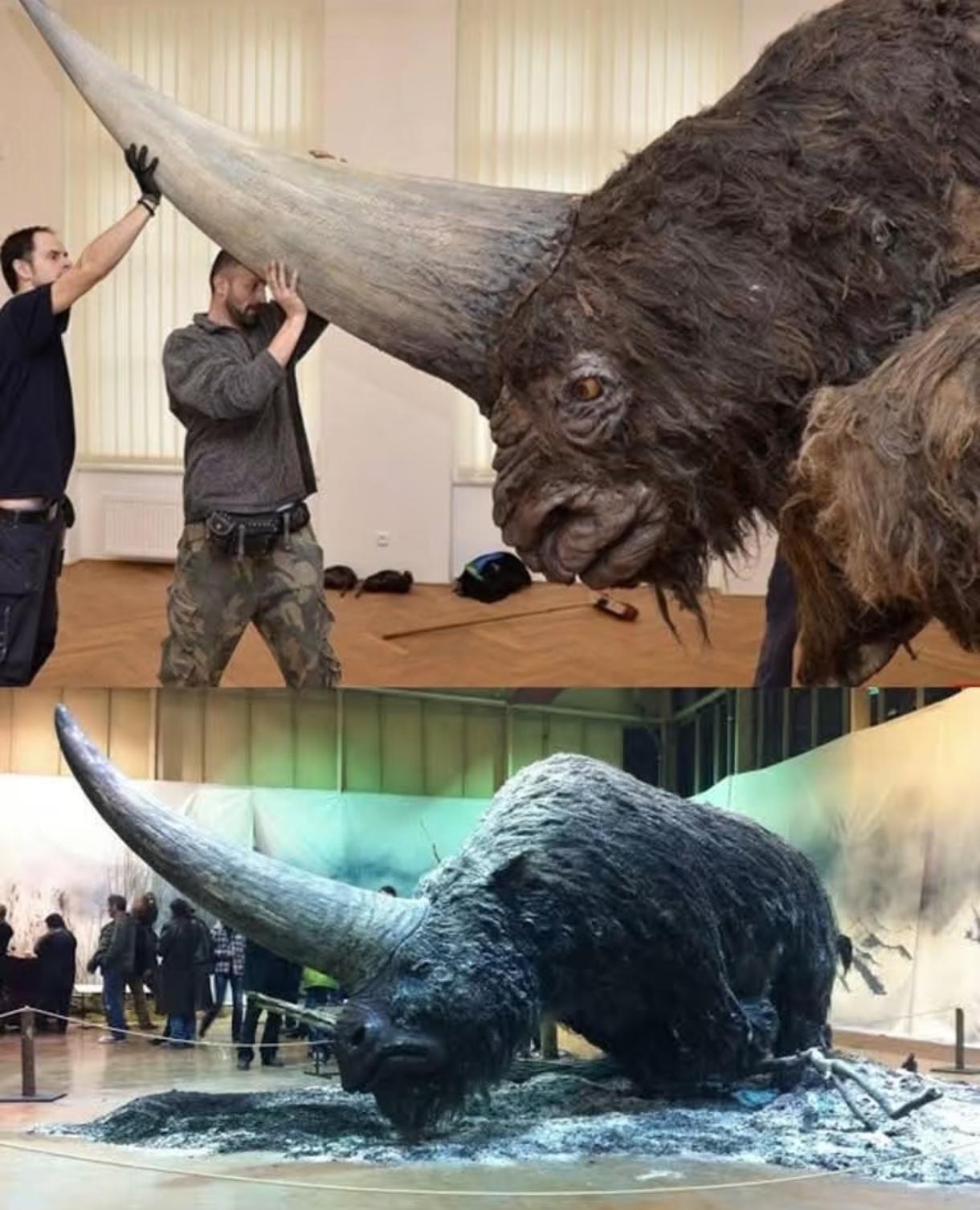 1万多年前的冰河末期，一场无声的浩劫席卷地球。猛犸象、披毛犀、剑齿虎这些曾称霸冰