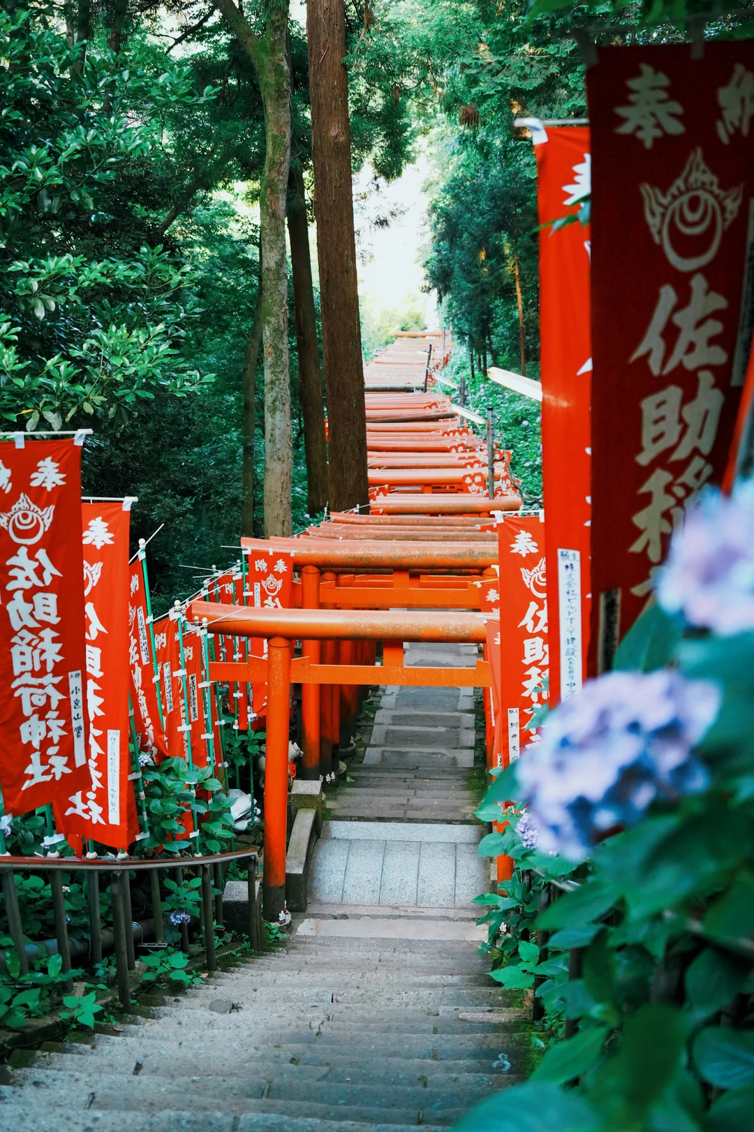 镰仓：最有灵气感的神社⛩