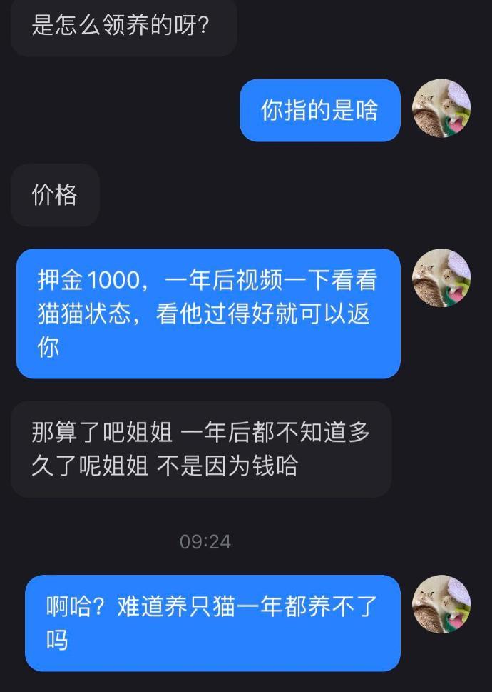 感觉我的猫遭到了侮辱​​​