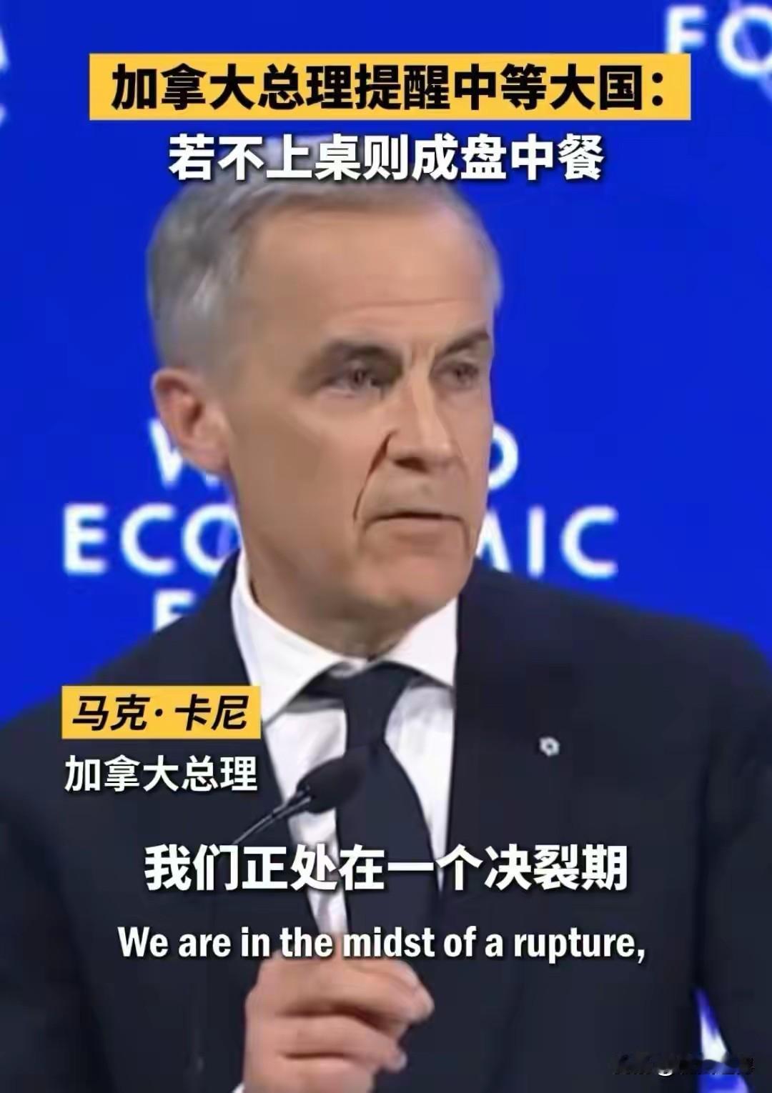 世纪二个强硬角色出现：即加州的州长纽森和加拿大总理马克卡尼。加拿大卡尼对美开始