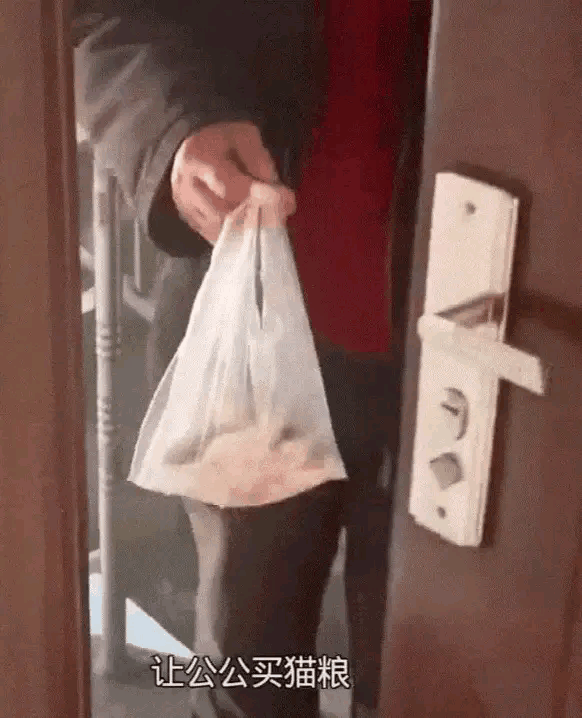 女子一家国庆节带着猫咪去农村婆婆家，到了家才发现忘了带猫粮。正好公公出门去赶集，