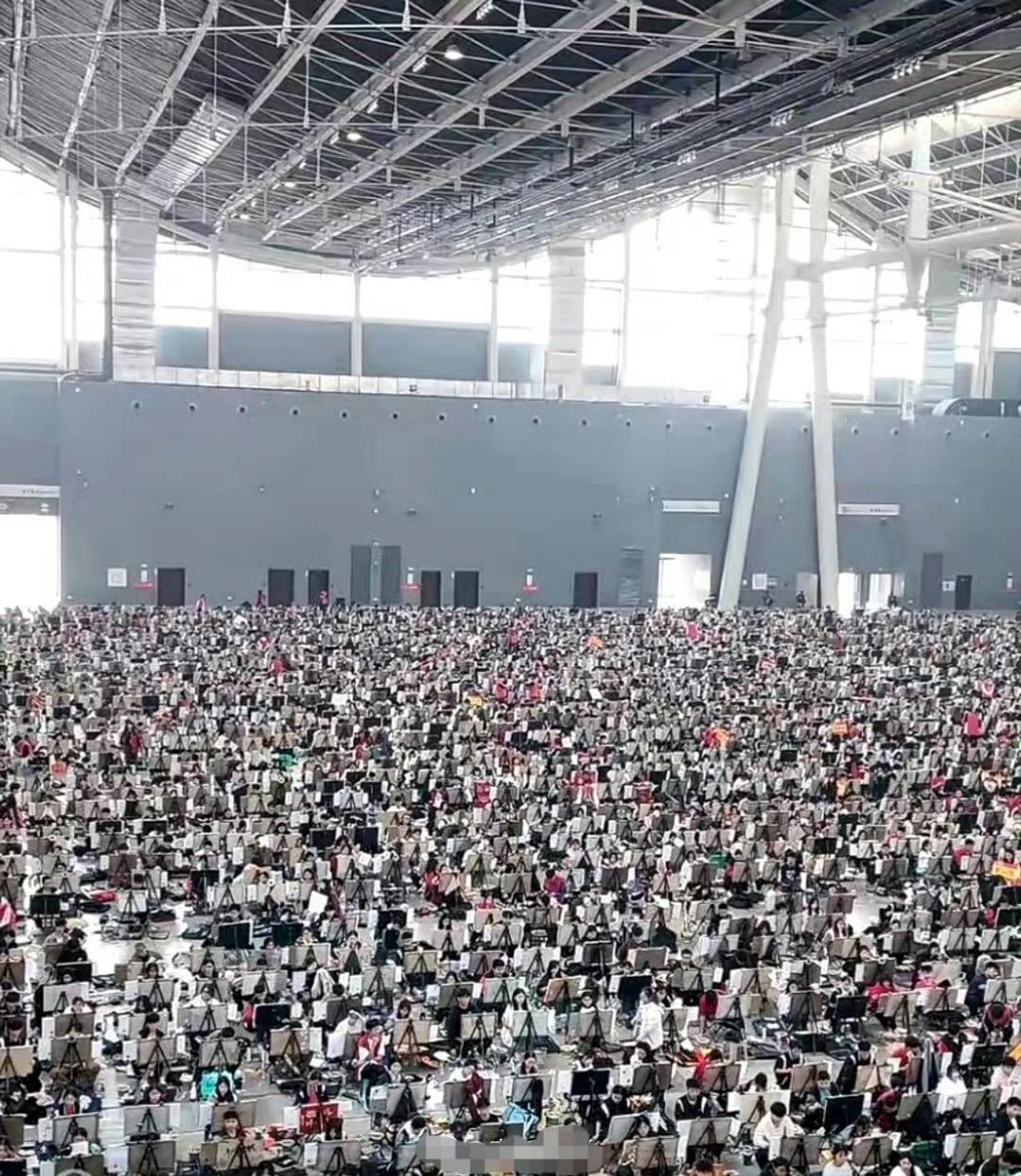 以后他们的就业方向是啥？