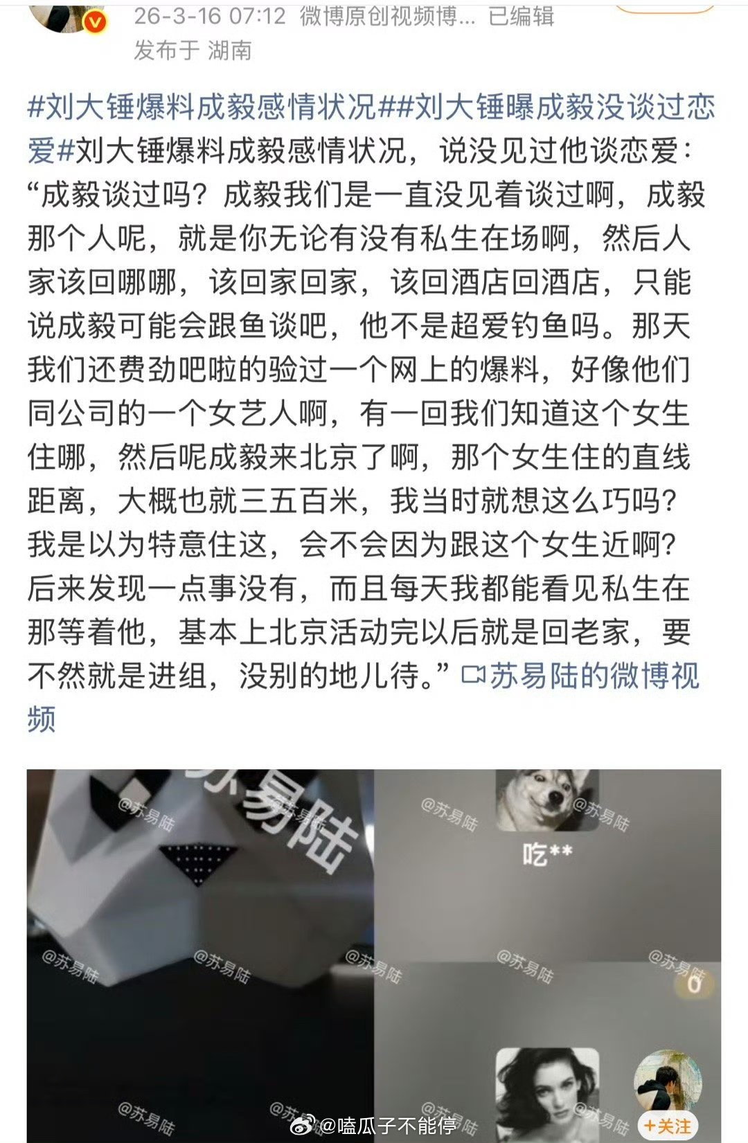 狗仔爆料说成毅只可能跟鱼谈