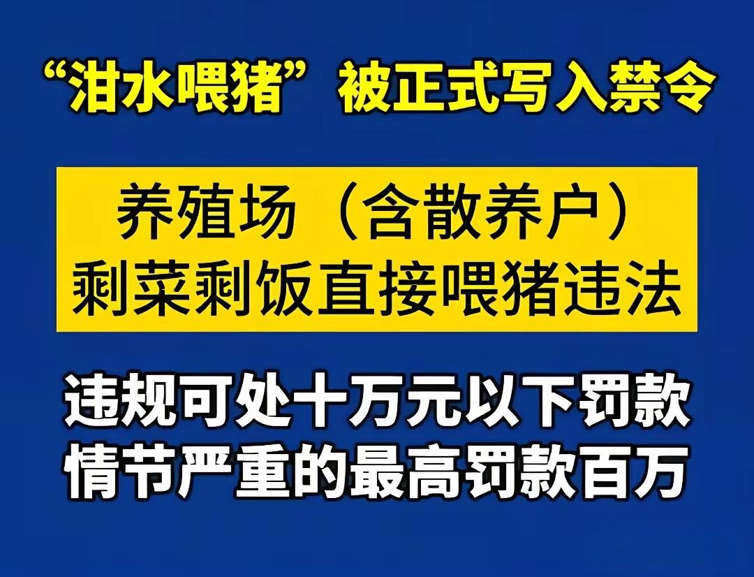 为何泔水养猪现在就不行了呢？以前农村养猪基本都是用泔水，即农家吃的剩菜、剩饭，