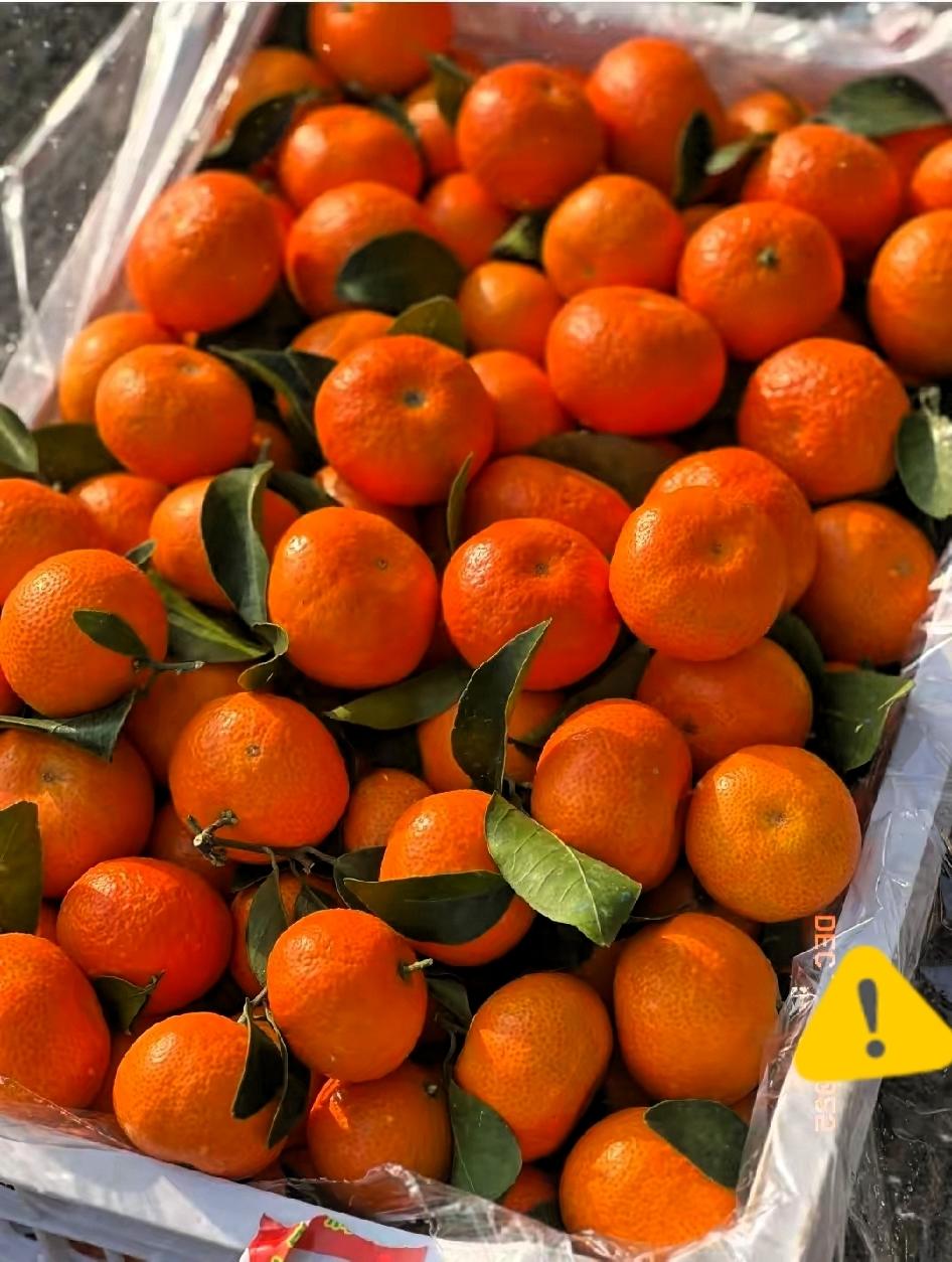 我终于知道今年的沙糖桔为什么卖不动了，并不是价格太贵了，也不是大家不喜欢吃，真不