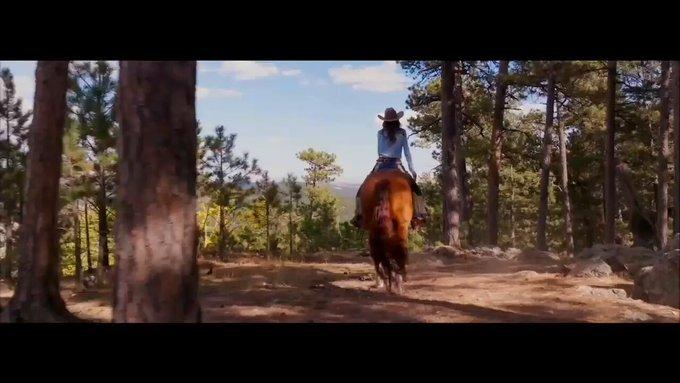 美国国土安全部部长被特朗普解雇了。解雇原因不是这位美女花了2.2亿美元（约1