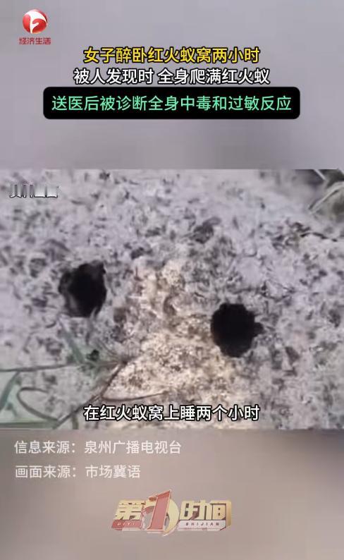 “醉酒女子遭红火蚁围攻！”7月15日消息，福建泉州一名女子酒后倒在绿化带内，彻底