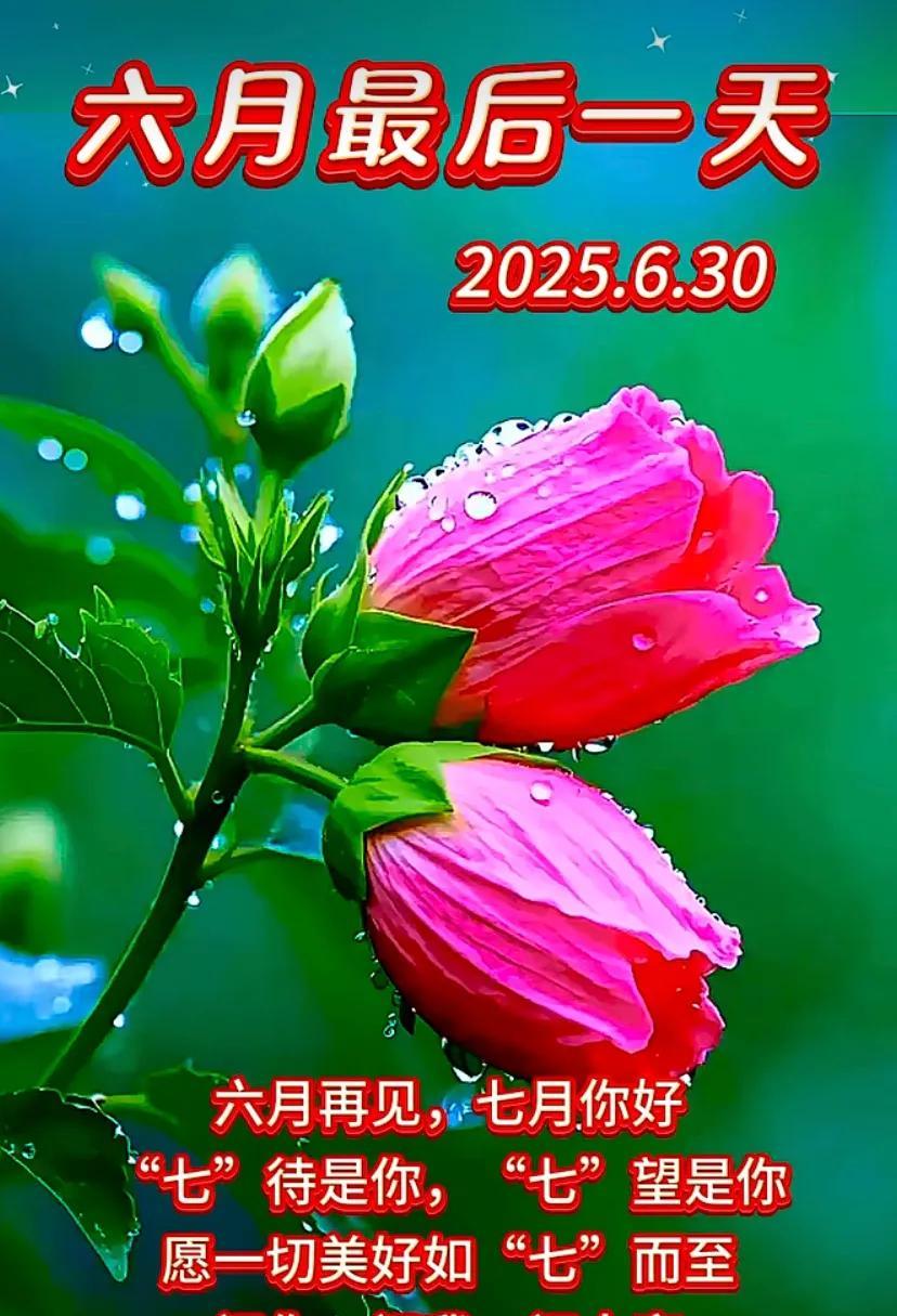 早安，每一天都值得用心珍惜。六月最后一天、