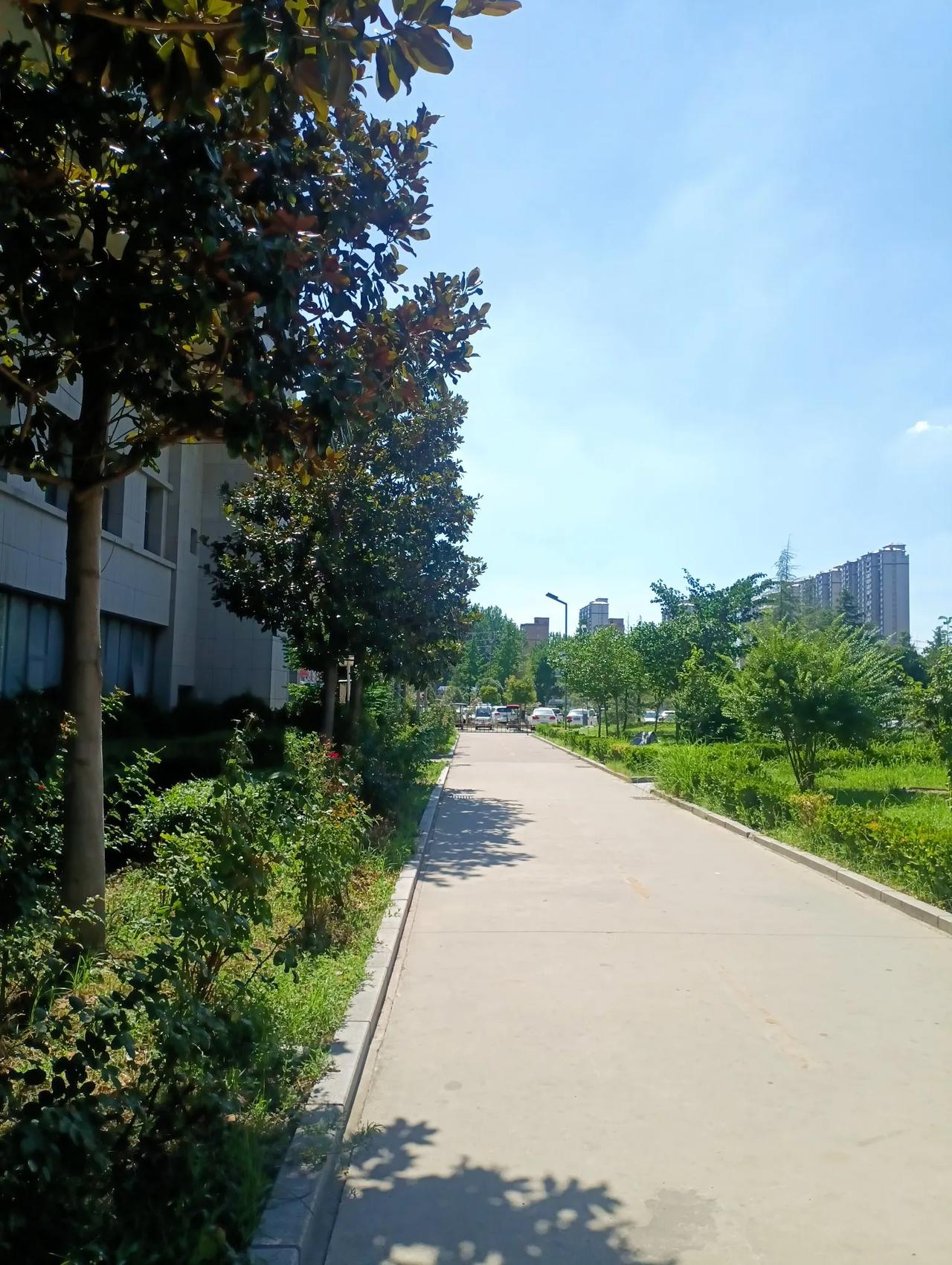 今天的豫东，可是真热。今天，河南豫东地区，温度高达39度。太热了。