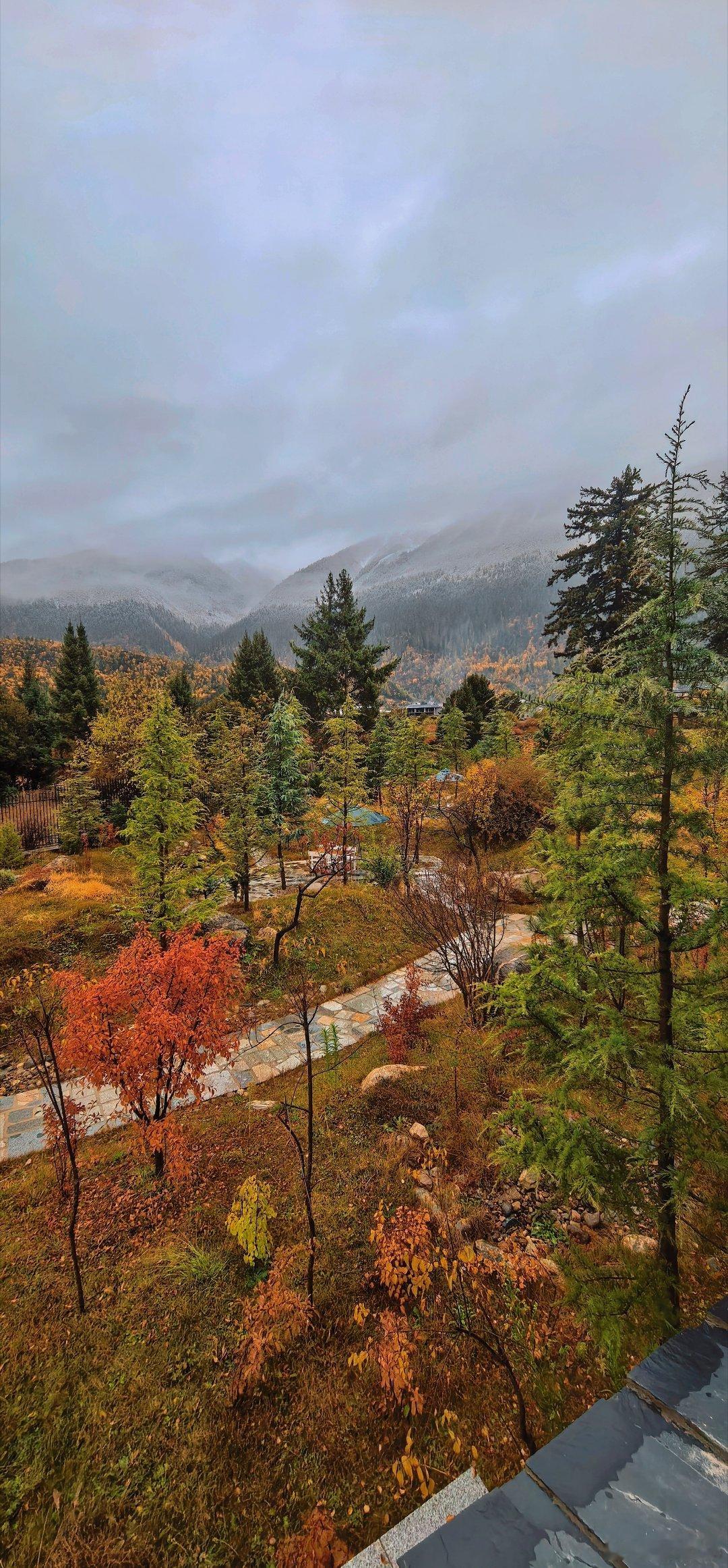 巴松措的木屋酒店，这是最好的季节了吧。​​​