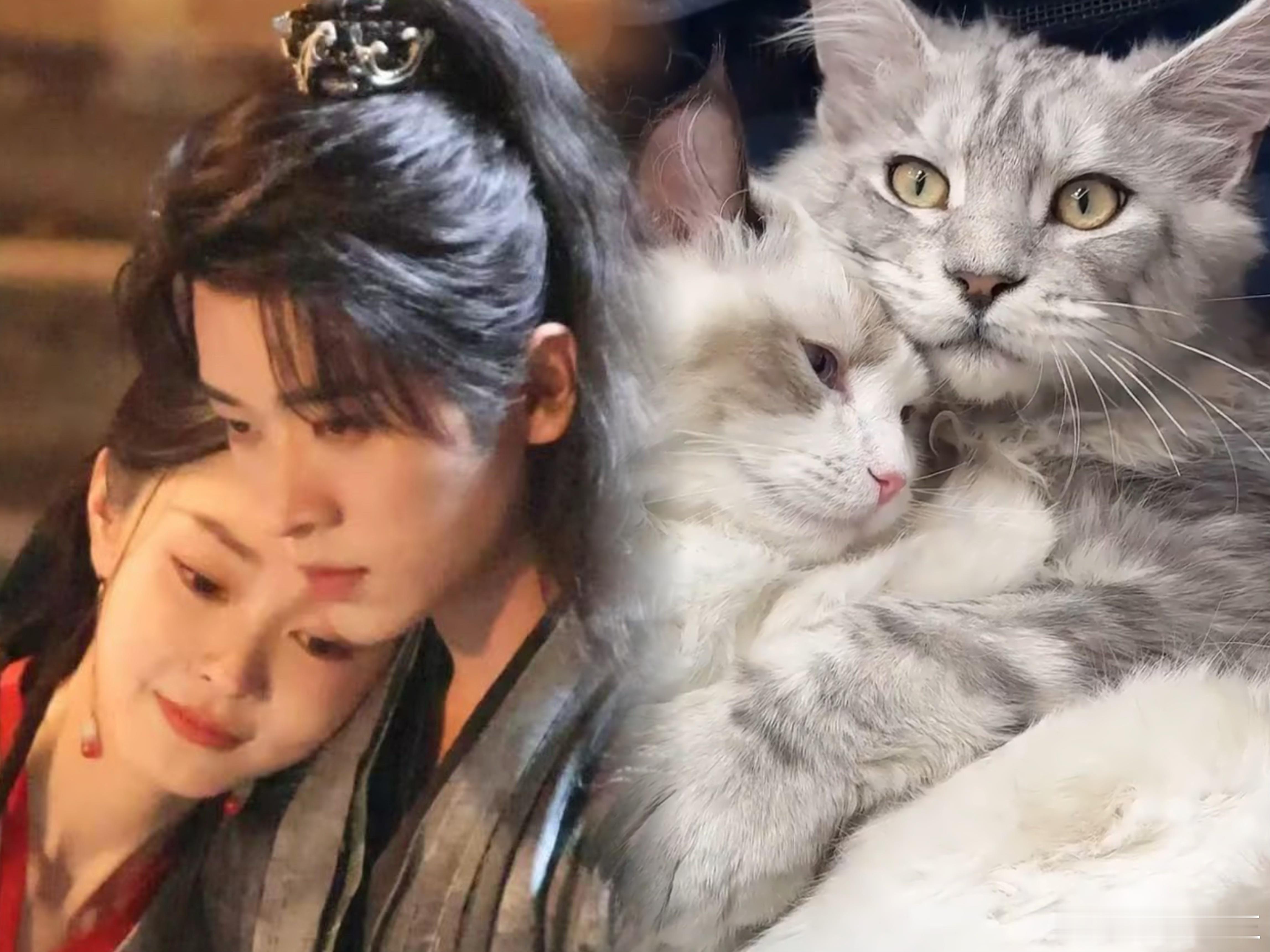 猫塑宋轶丞磊的人简直是个天才谁懂啊！看他俩同框就像看两只揣手手的小猫咪，一个软