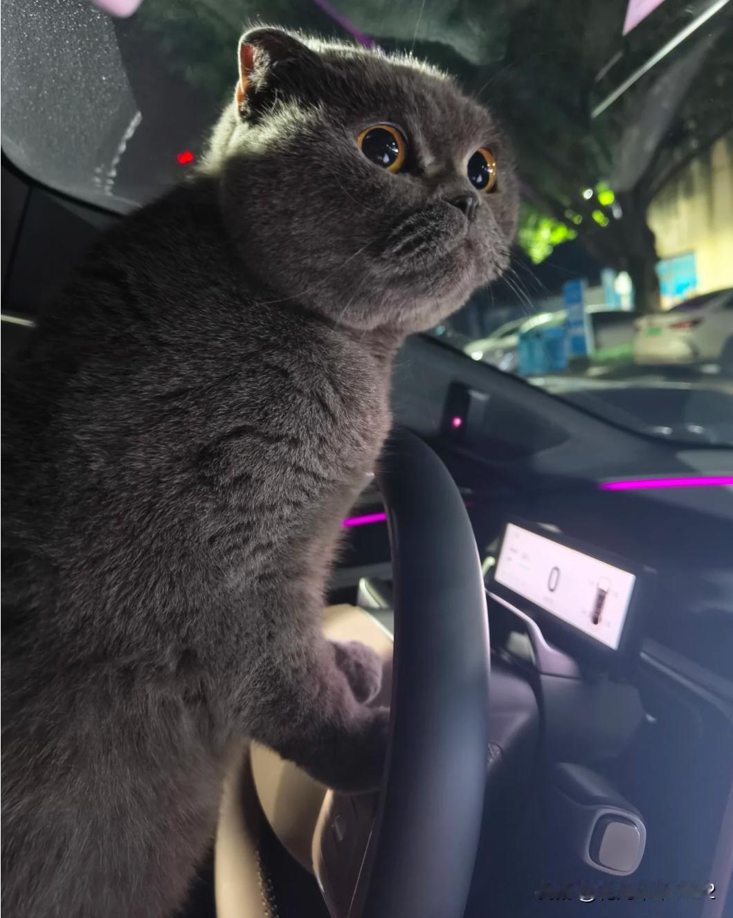 给电车充电后，消费参照物变了。1.五年前开油车，加油每次300～400块，每个