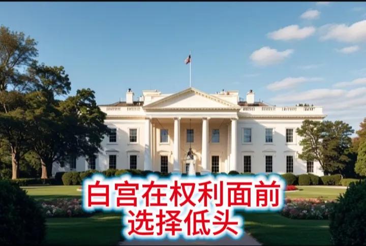 选择低头！白宫发起的关税战得到反噬。在国内民众因生活成本不断提高被搞得焦头烂额