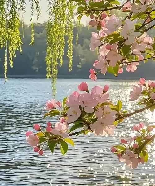 心狠，是对自己的慈悲人这一生，真的要学会心狠。不是刻薄，不是冷漠，