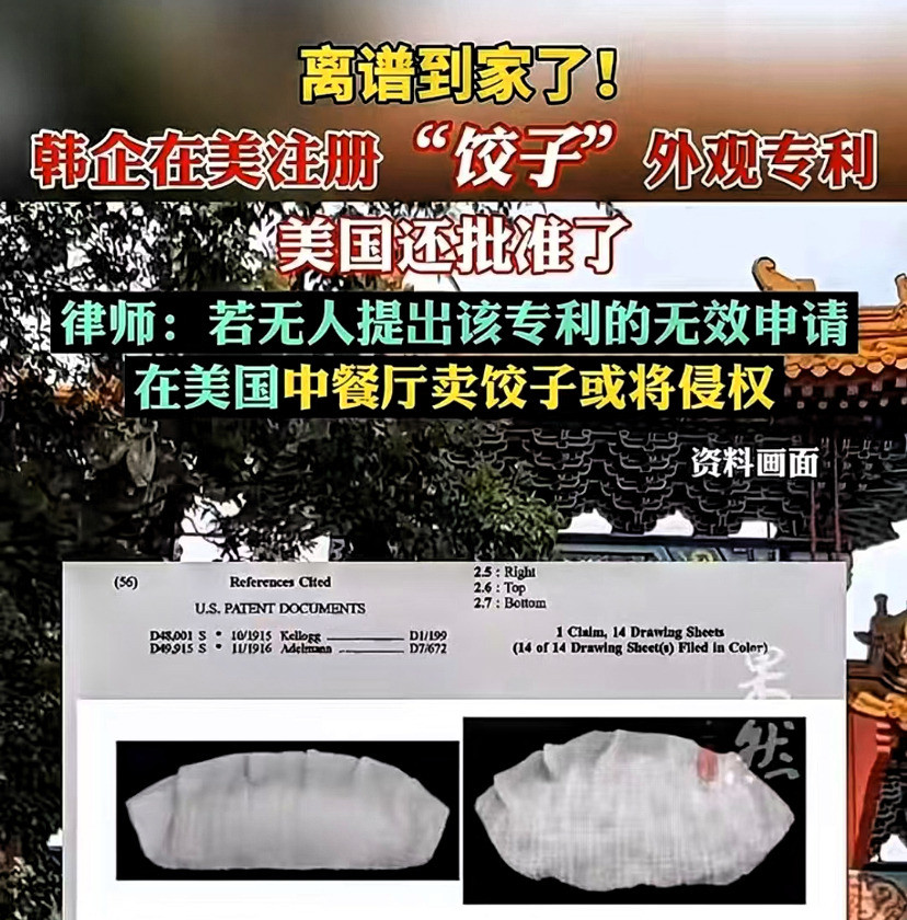 韩国注册饺子专利太离谱哎呀妈呀，这事儿真是太绝了！韩国人