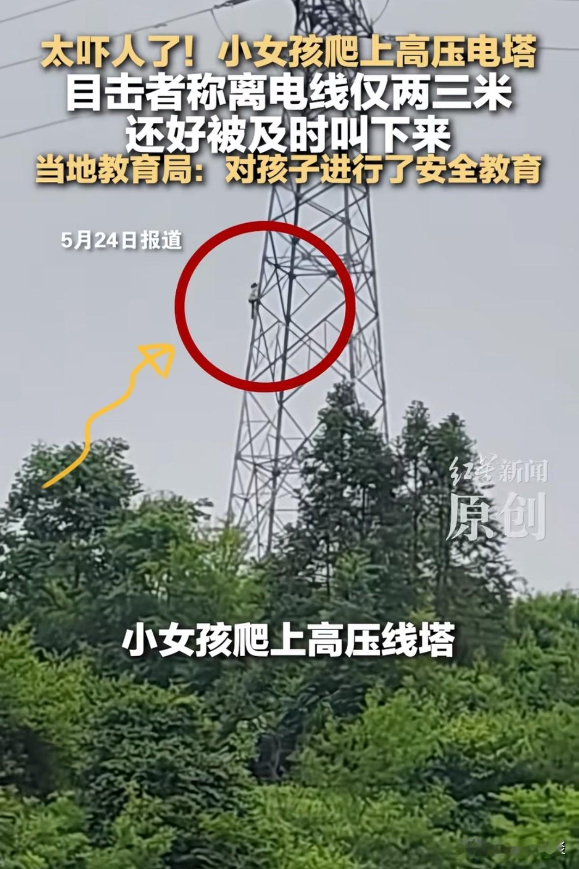 太吓人了！河南信阳，一小女孩跟着奶奶去地里干活，趁着奶奶干活的间隙，独自爬到一个