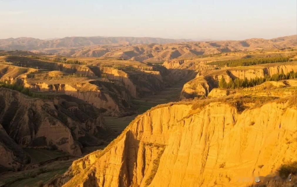 黄土不再是黄土了，它开始卖钱了。2025年1月，陕西米脂高西沟村里，一座淤地坝