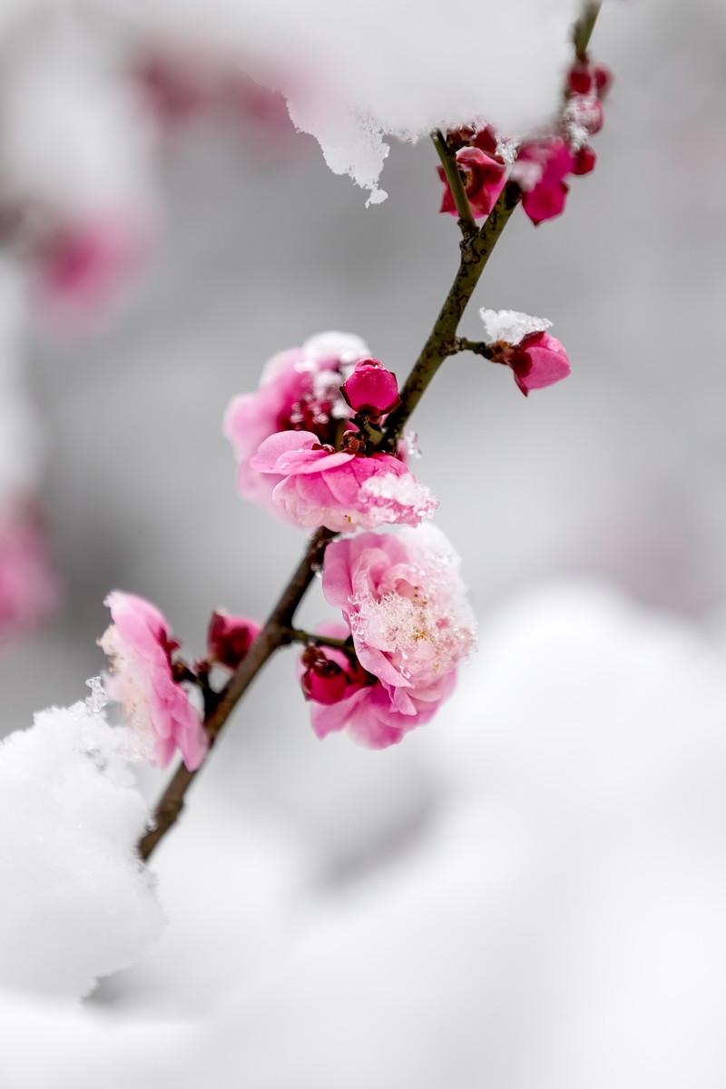 冬季减肥注意的地方。