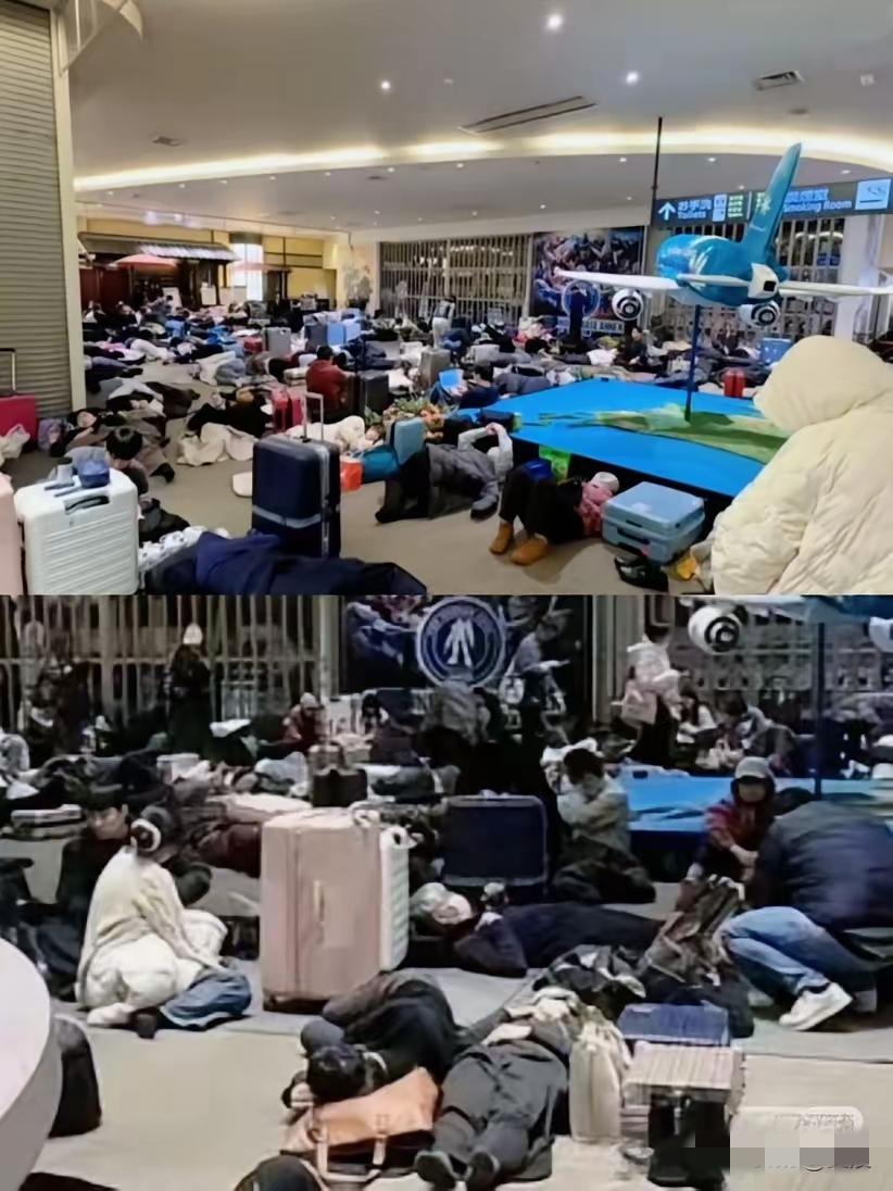 这几天北海道那场大雪，看得人心里直犯嘀咕。​原本以为同胞滞留机场，大家伙儿肯