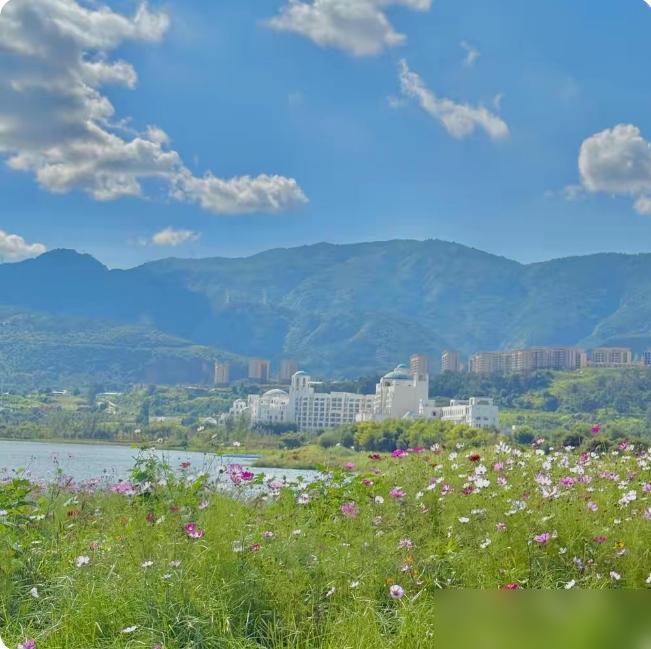 退休后一定要管住自己我身边好几个退休的老伙计都踩过不少坑，前阵子有个老同事接