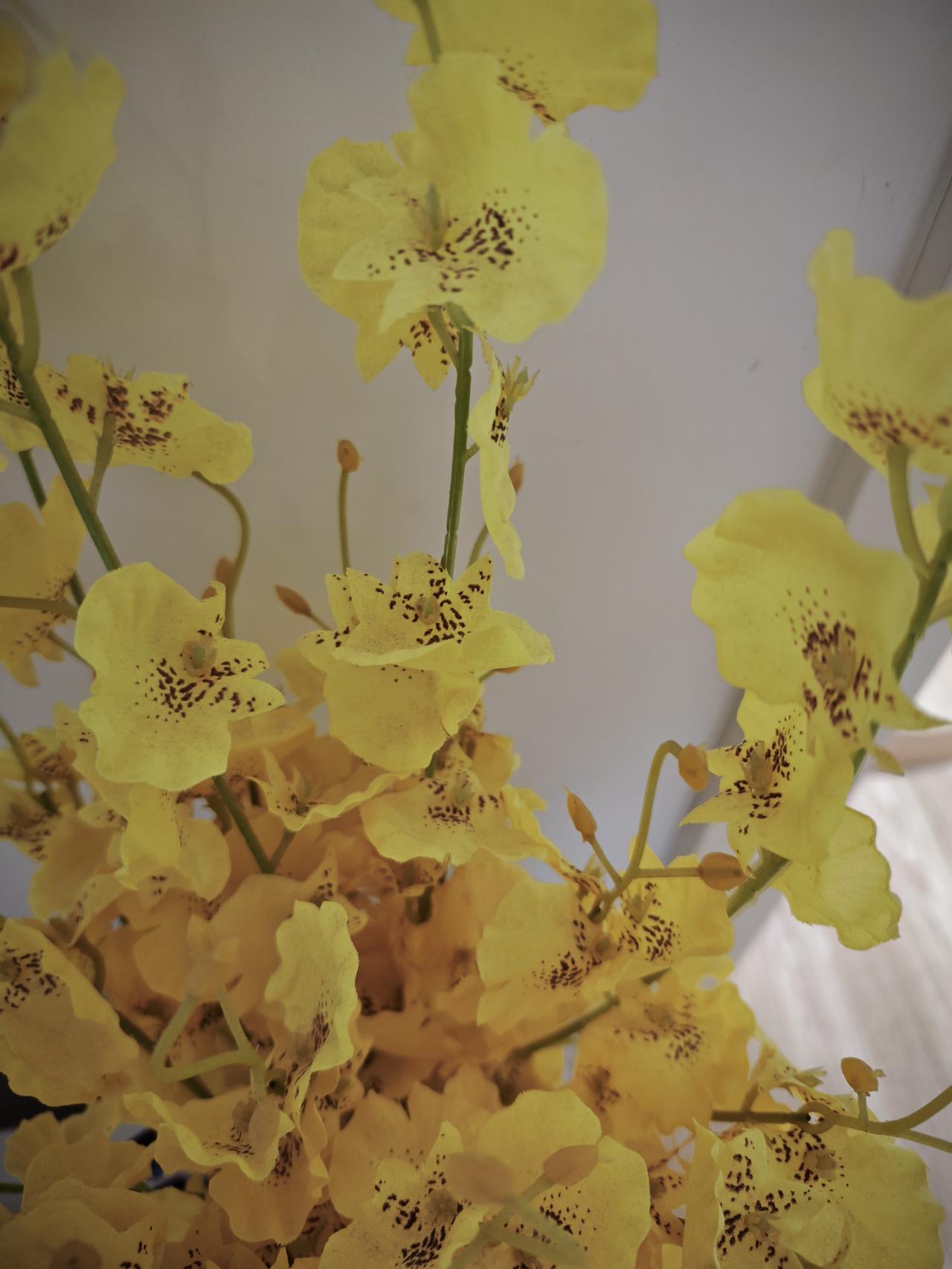 姐姐说表姐家的儿子考到银行上班了，印象中他复读了一年成绩还是不怎么样，爸妈砸锅卖