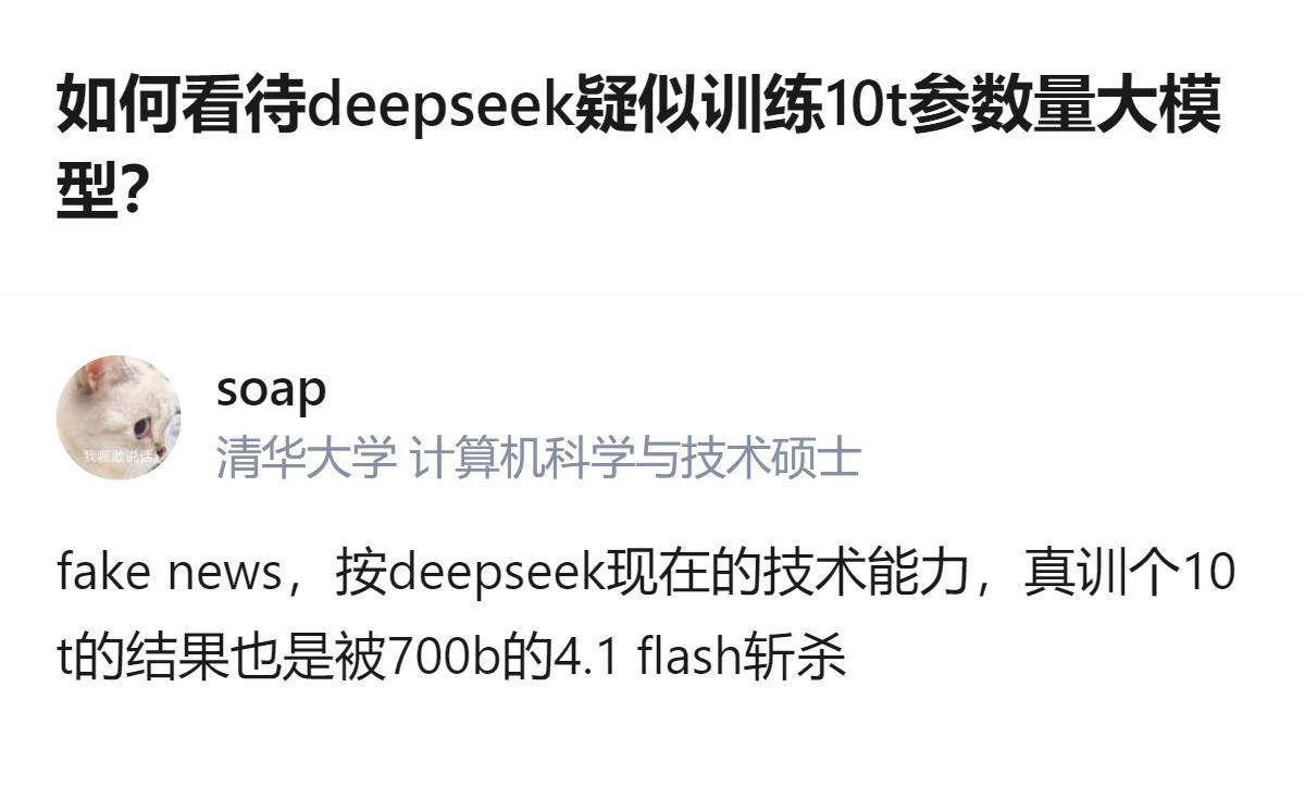针对deepseek疑似训练10t参数量大模型的讨论里，有观点认为以其当前技术能